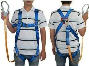 Single Belt Harness